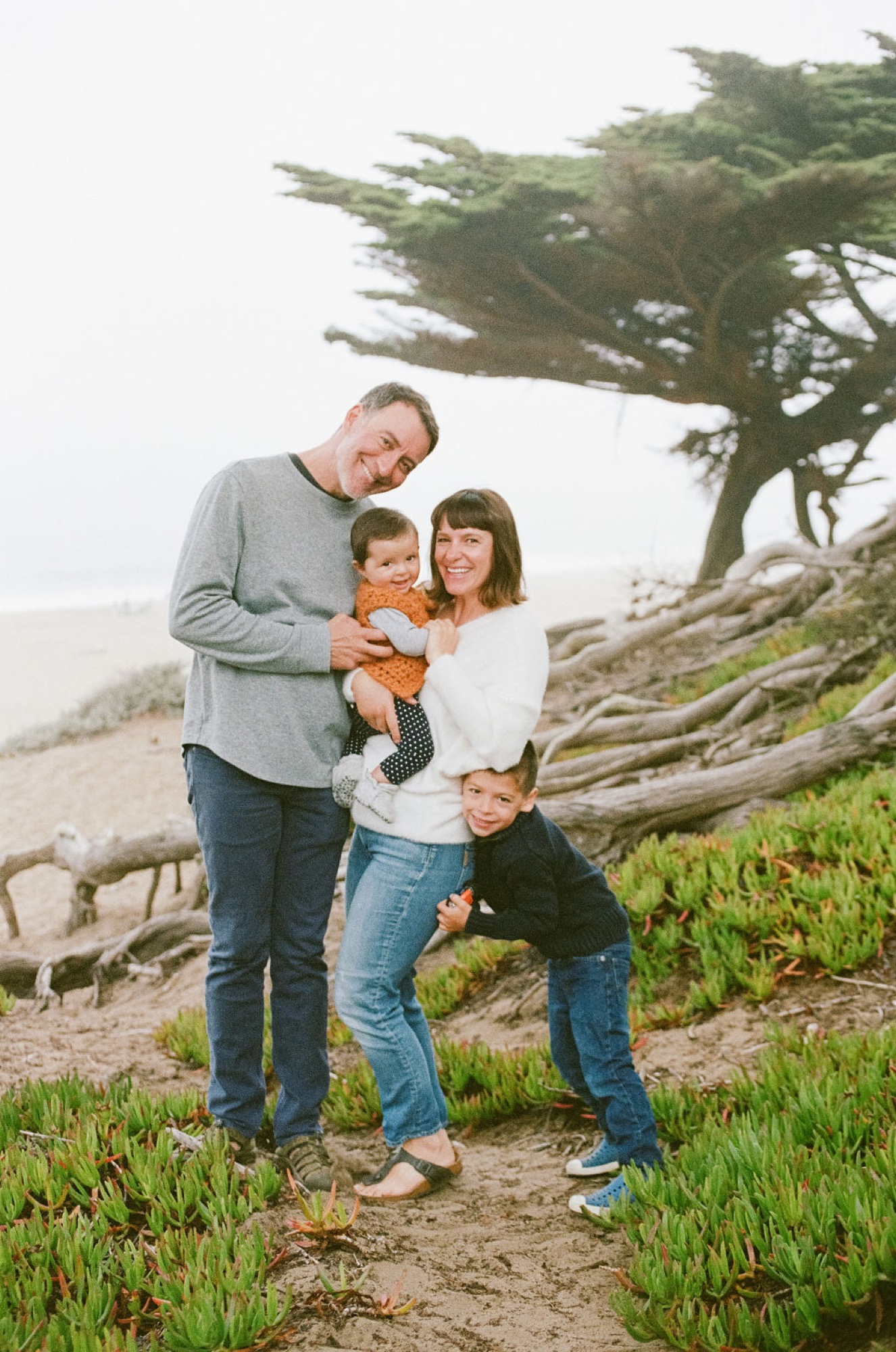 A father and mother hold their toddler son while standing on a windswept coastal trail, with a gnarled cypress tree bending dramatically behind them in the misty air