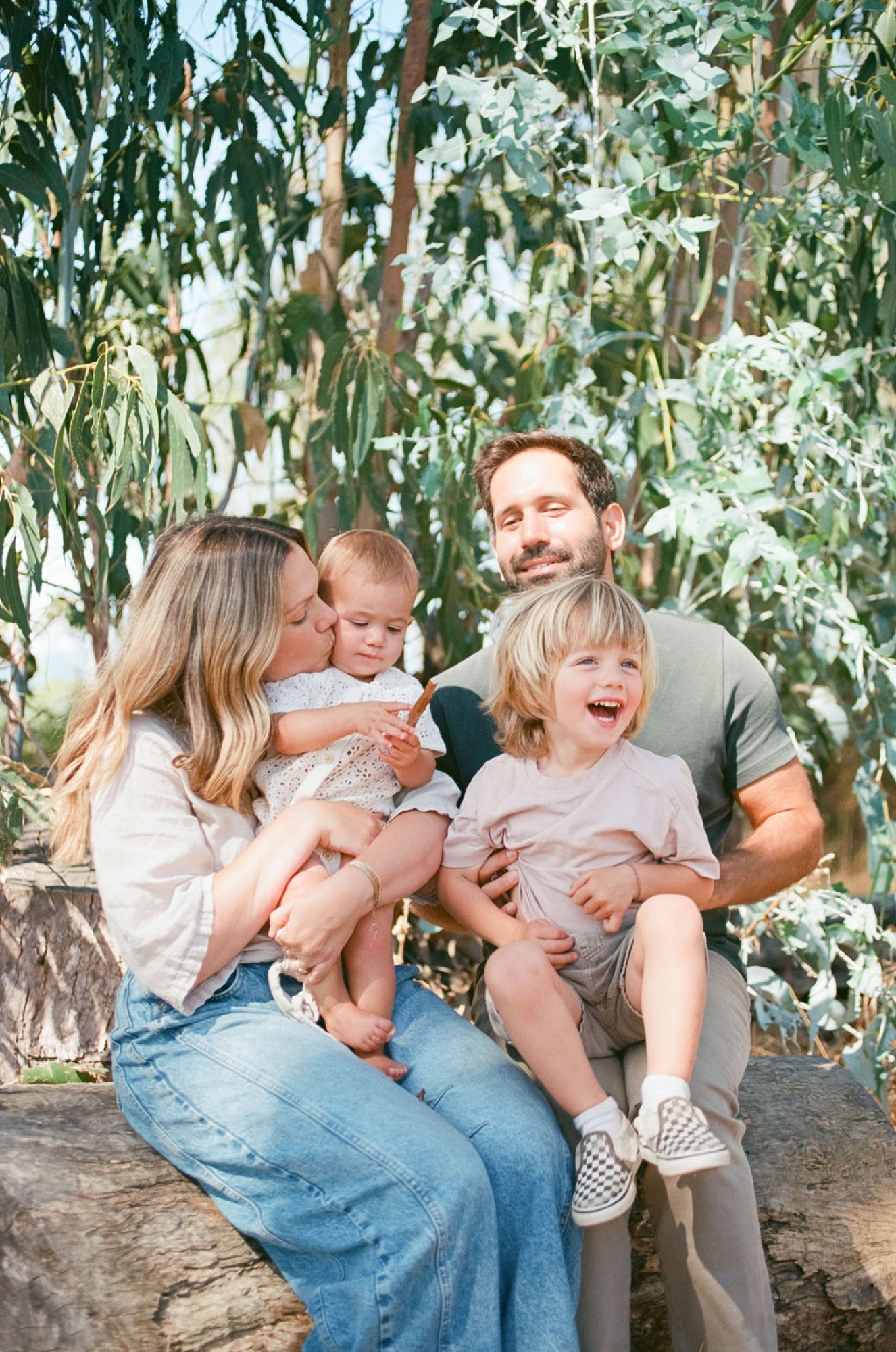A family of four shares genuine laughter beneath dappled eucalyptus foliage, their warm connection evident in relaxed poses and bright smiles