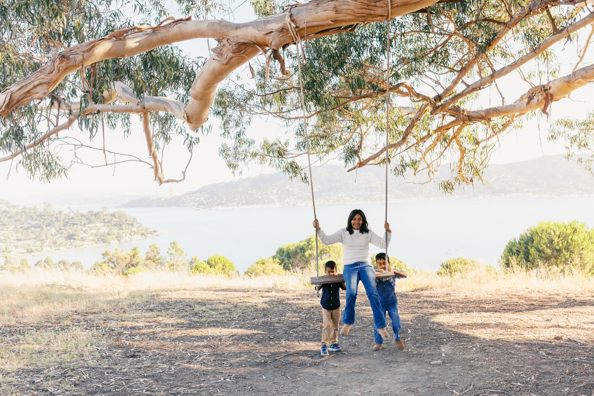 A girl swings on the rope swing under the Hippie Tree's huge branch while two little brothers hang from the seat, the bay spread out behind