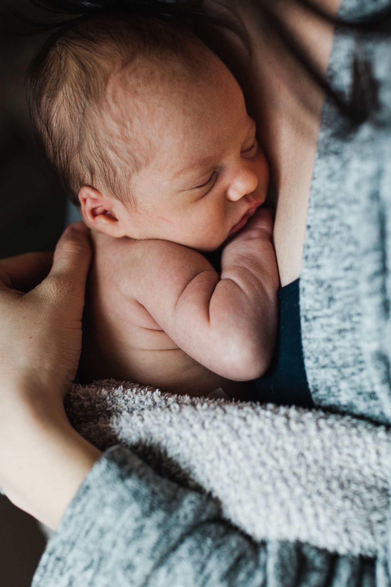 Newborn nestled against parent's chest, wrapped in soft gray blanket, eyes gently closed in peaceful sleep