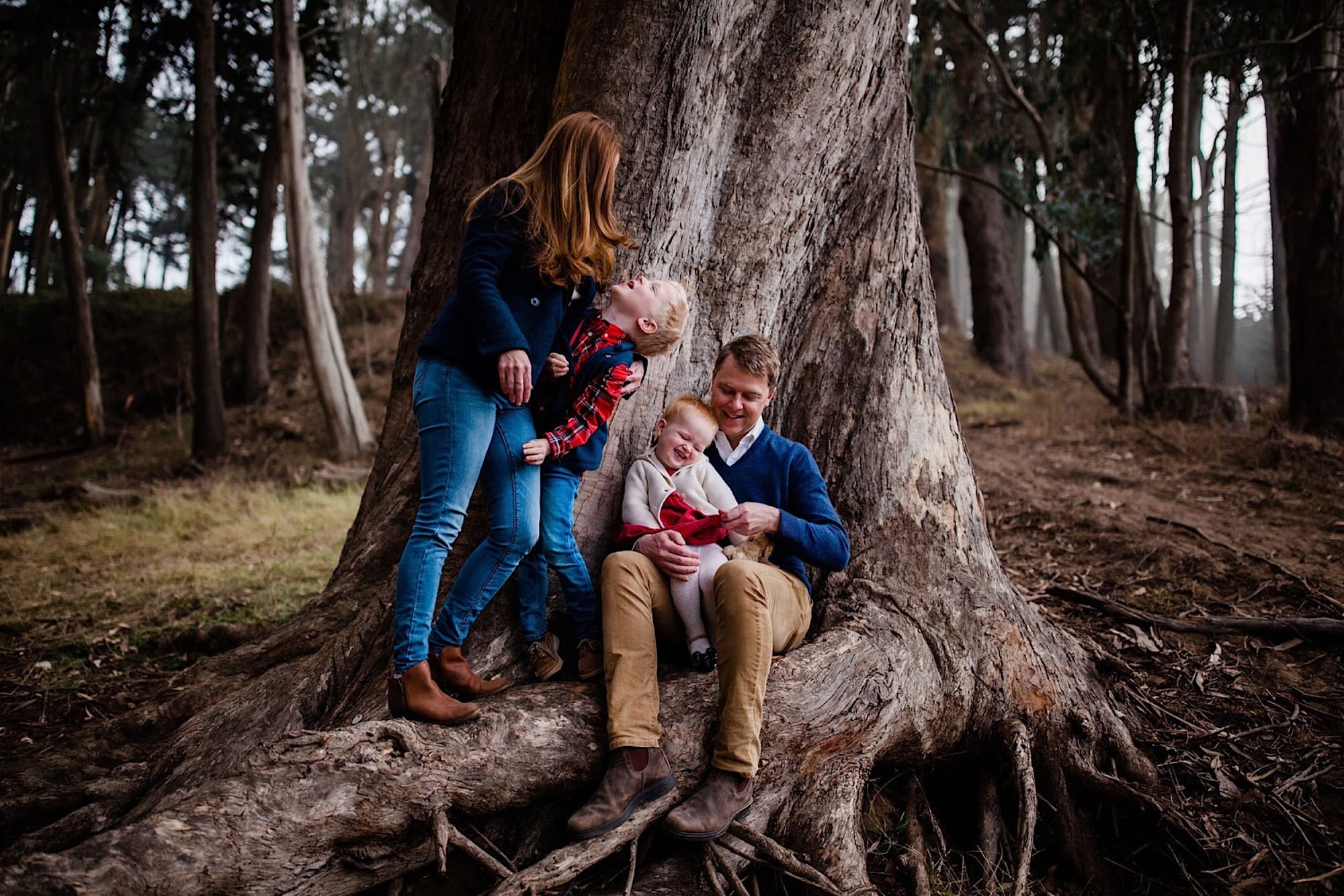 Family of four gathered in the wide roots of a huge eucalyptus on Lovers Lane in the Presidio, their son laughing up at his mom