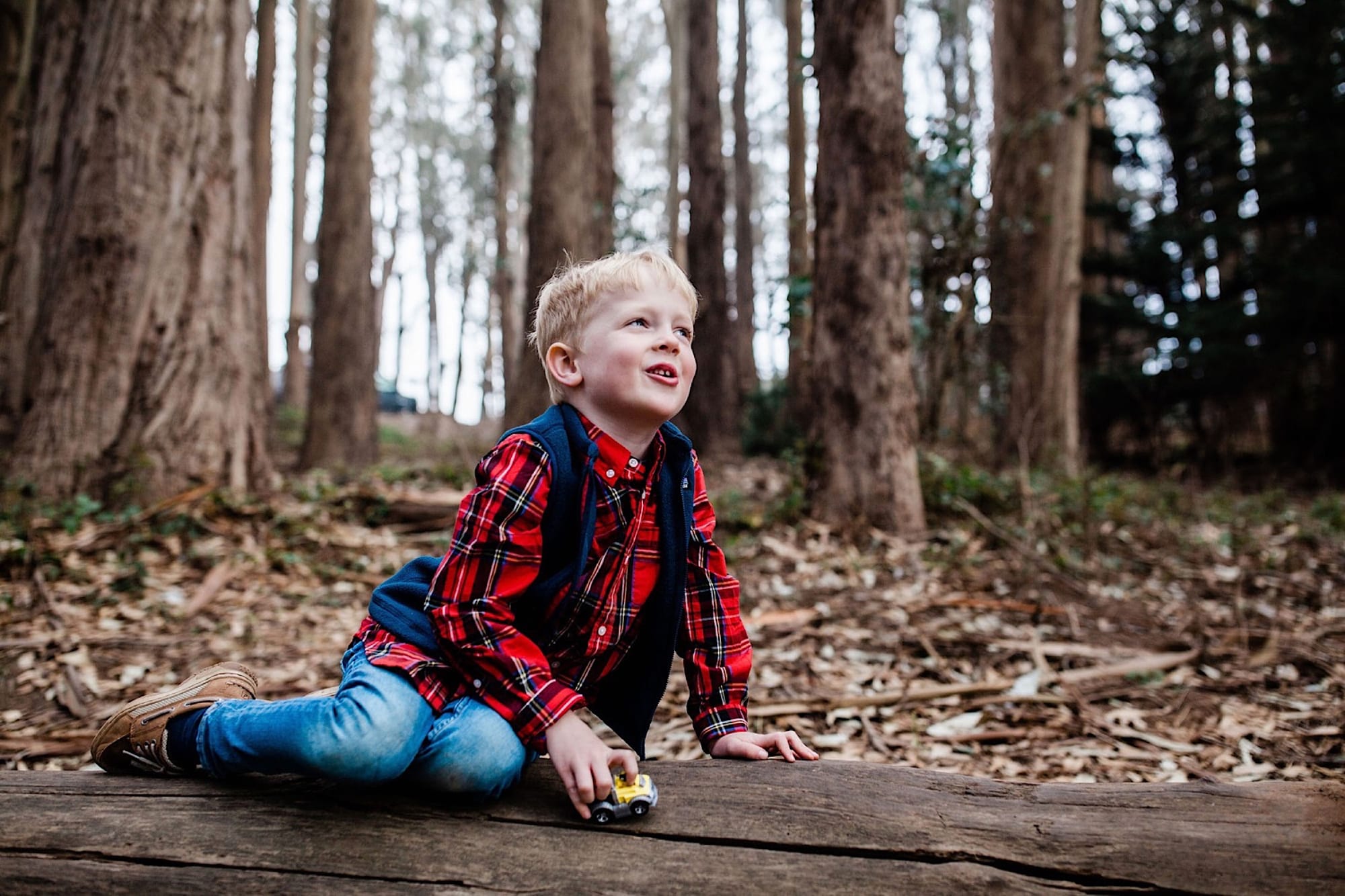 Little boy in a red plaid shirt sitting on a fallen log with a toy car at Lovers Lane