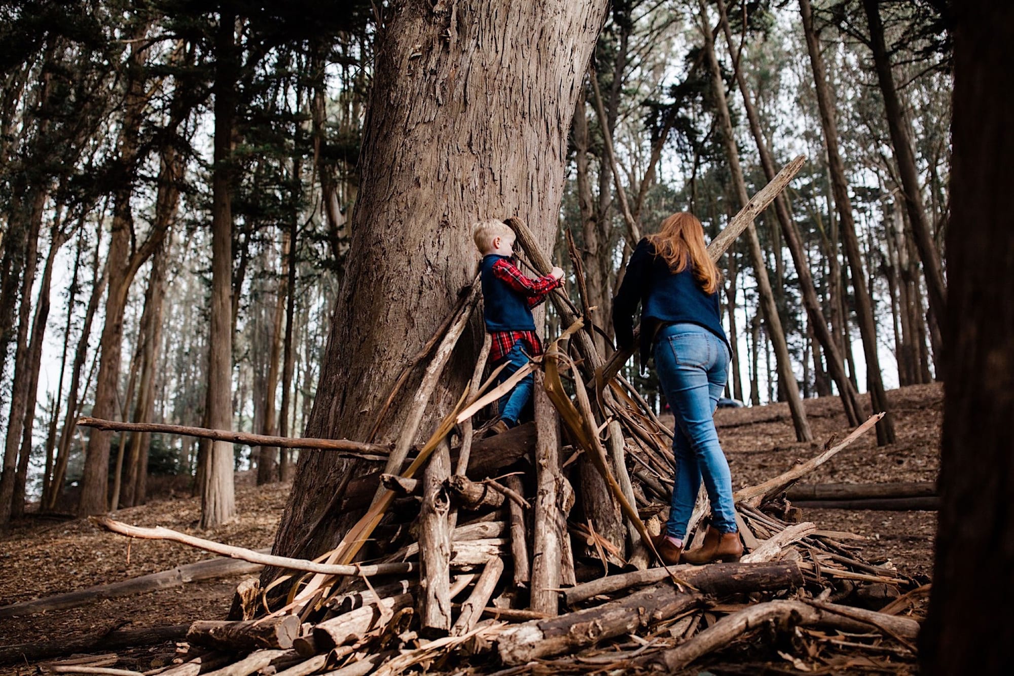 Two kids building a stick fort against the trunk of a big eucalyptus at Lovers Lane in the Presidio